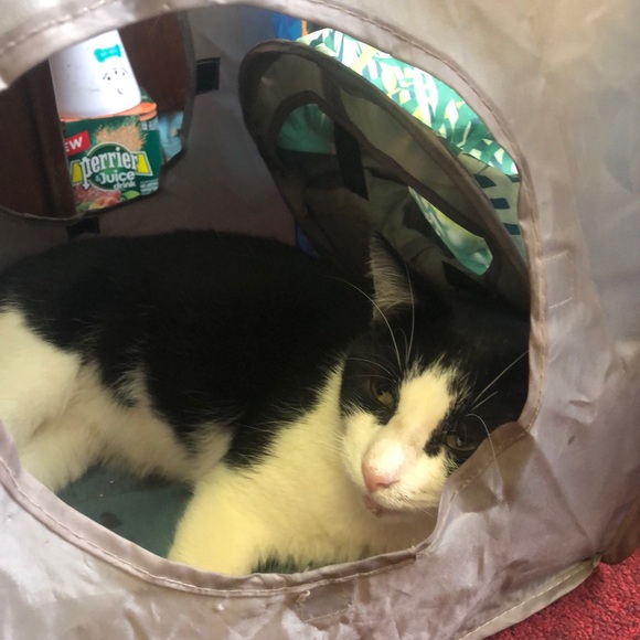 Meet your Posher, Static - Picture 8 of 16